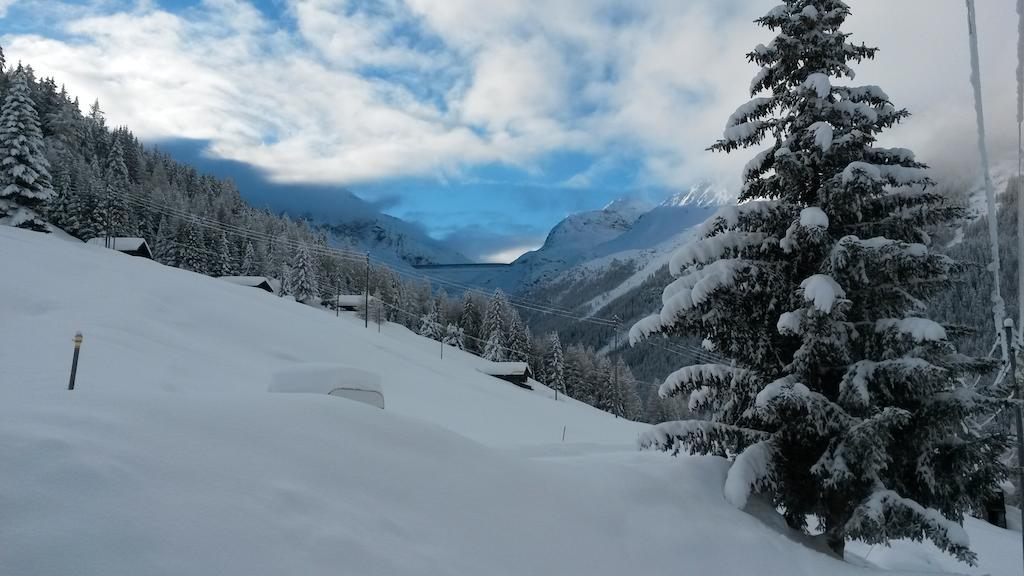 Chalet Edelweiss Hérémence 部屋 写真