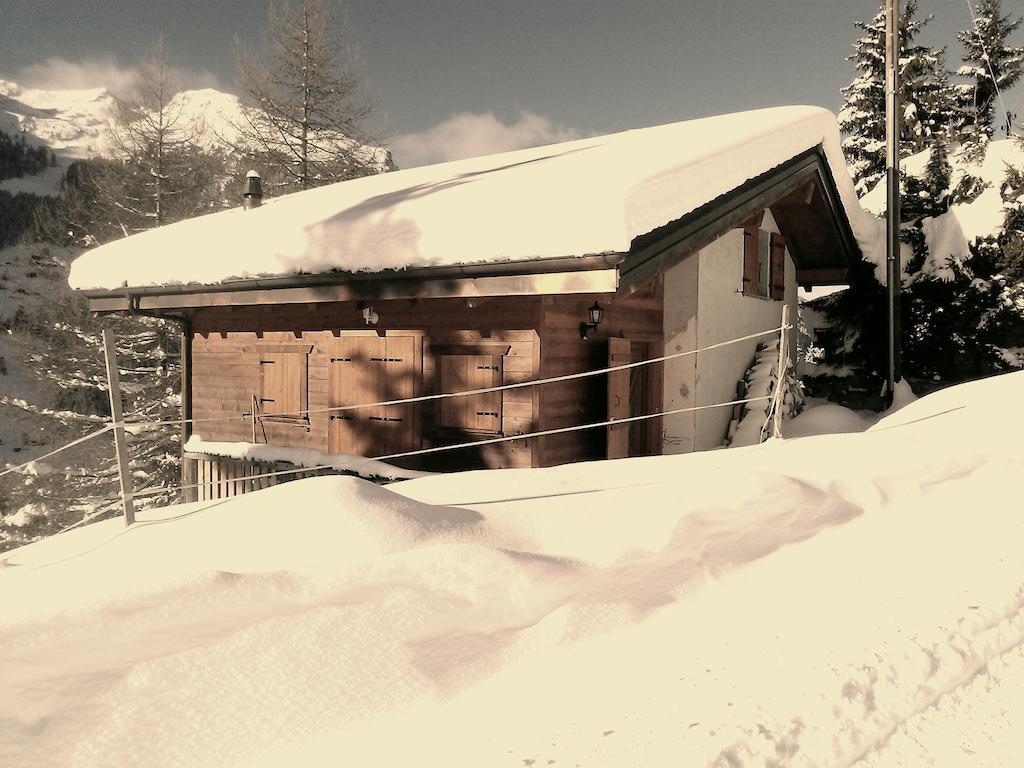 Chalet Edelweiss Hérémence 部屋 写真